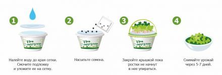 Набор для выращивания &quot;Моя микрозелень кресс-салат&quot; Здоровья КЛАД